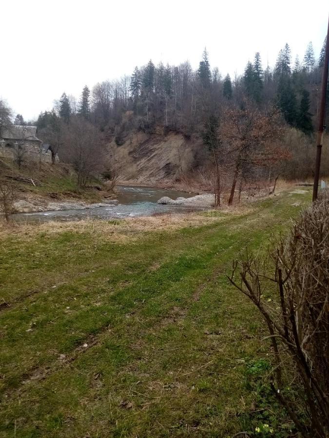 Садиба Федорчуків За Рікою1 Sheshory Luaran gambar