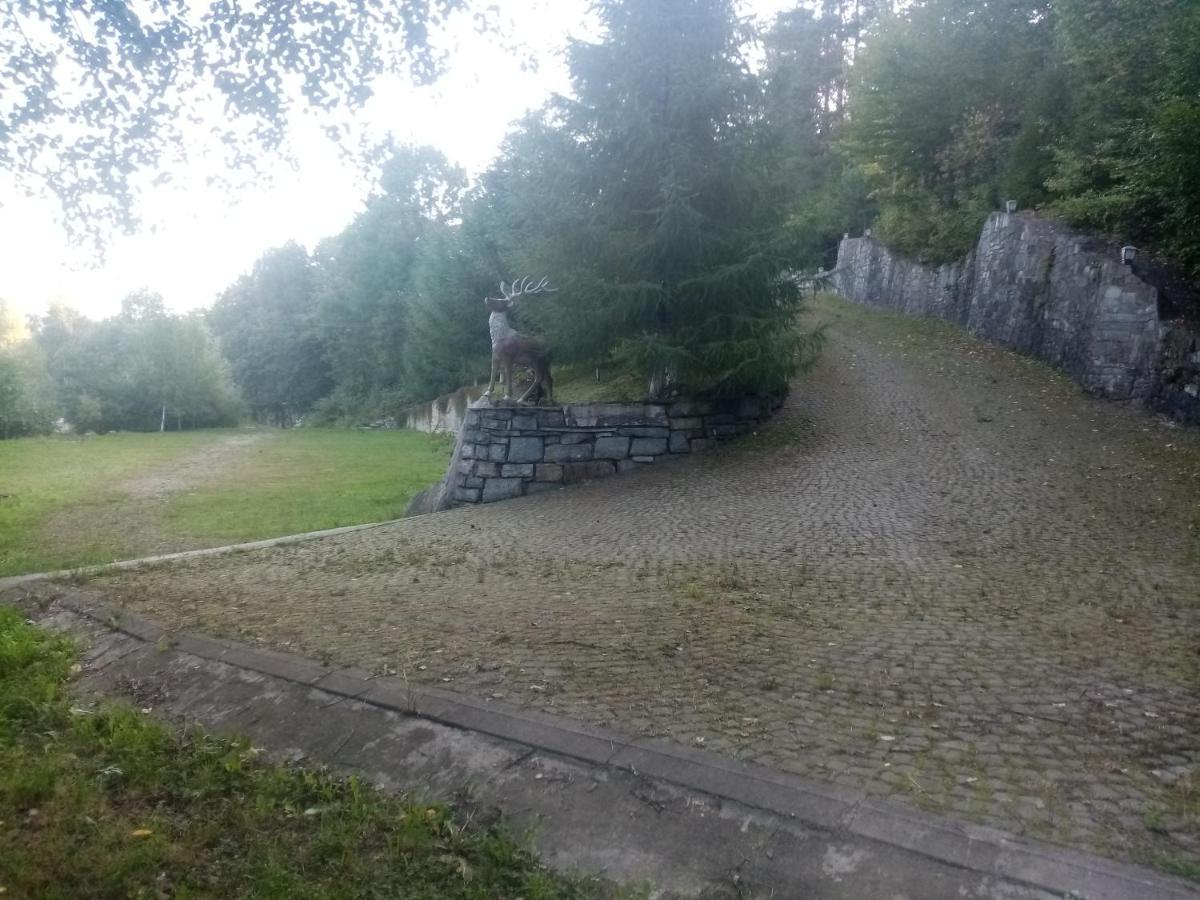 Садиба Федорчуків За Рікою1 Sheshory Luaran gambar
