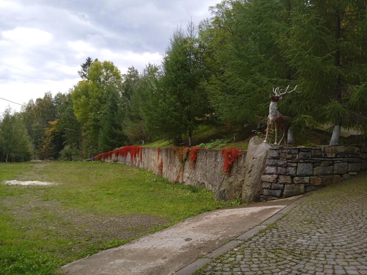 Садиба Федорчуків За Рікою1 Sheshory Luaran gambar