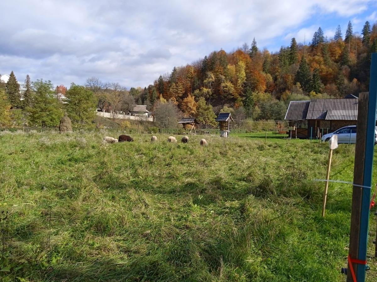 Садиба Федорчуків За Рікою1 Sheshory Luaran gambar