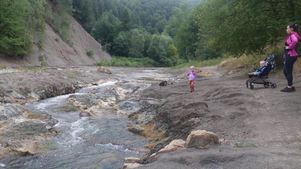 Садиба Федорчуків За Рікою1 Sheshory Luaran gambar